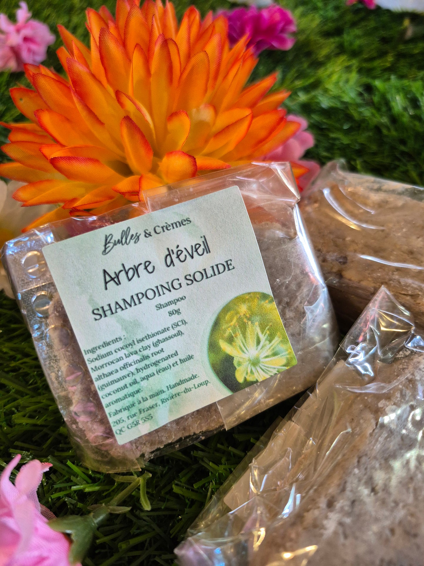 Shampoing solide Arbre d'éveil