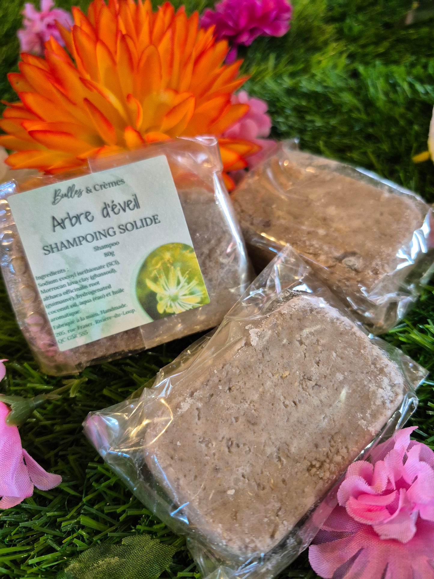 Shampoing solide Arbre d'éveil