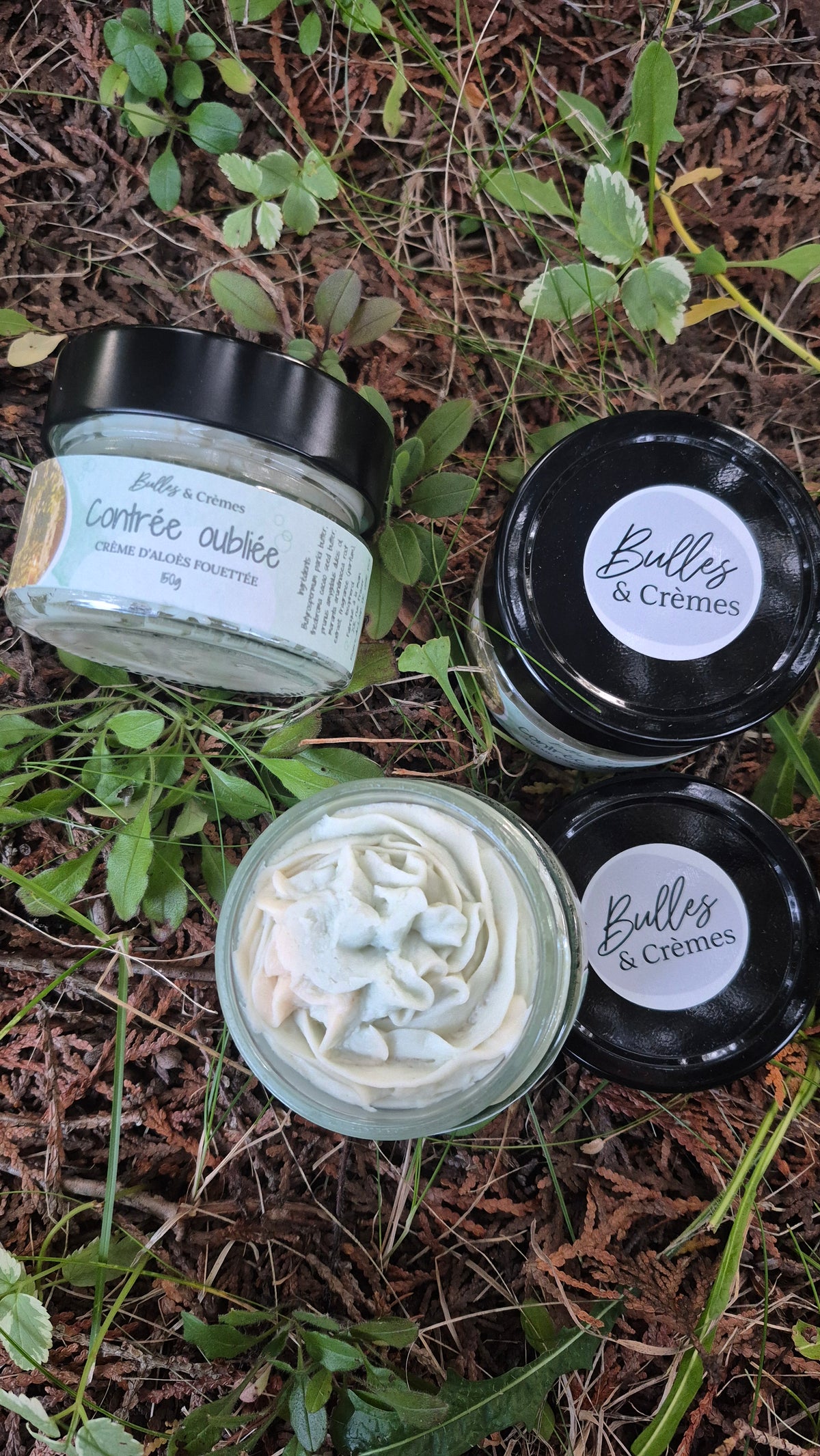 Crème d'aloès fouettée Contrée oubliée