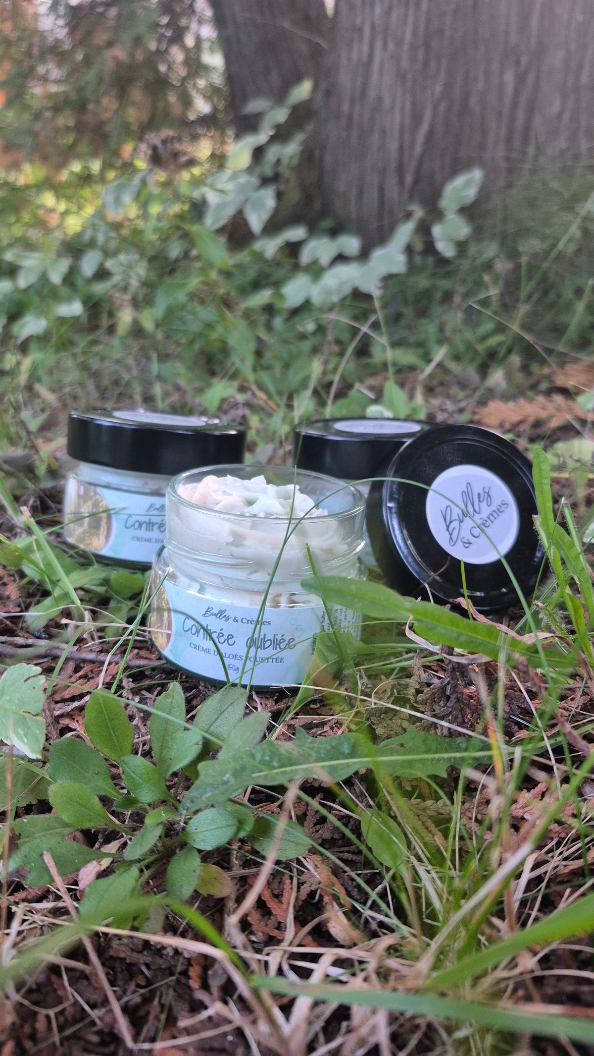 Crème d'aloès fouettée Contrée oubliée